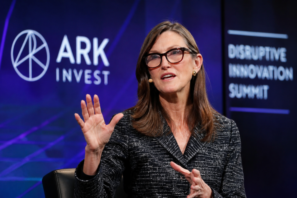 Cathie Wood speaks during an interview as investors track her latest market bets.