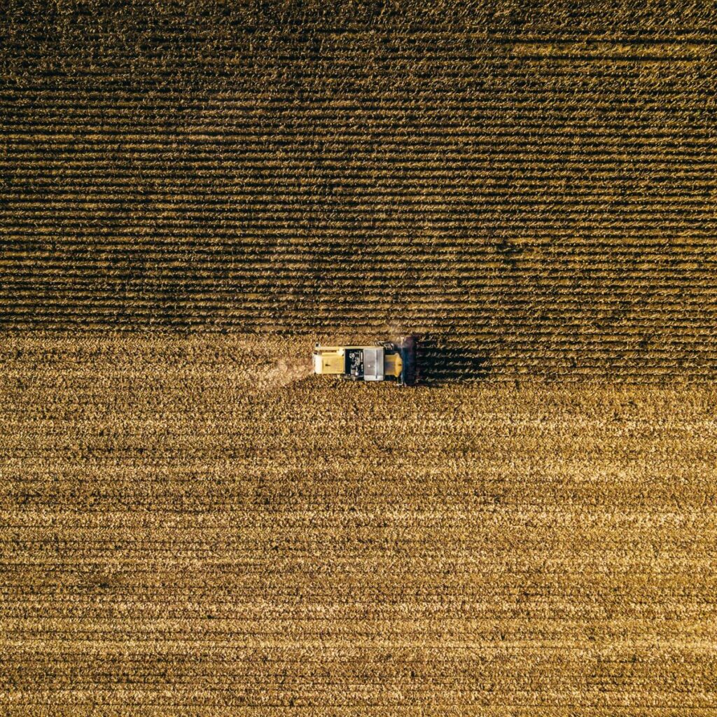 Wheat Posts Mixed Trade on Monday